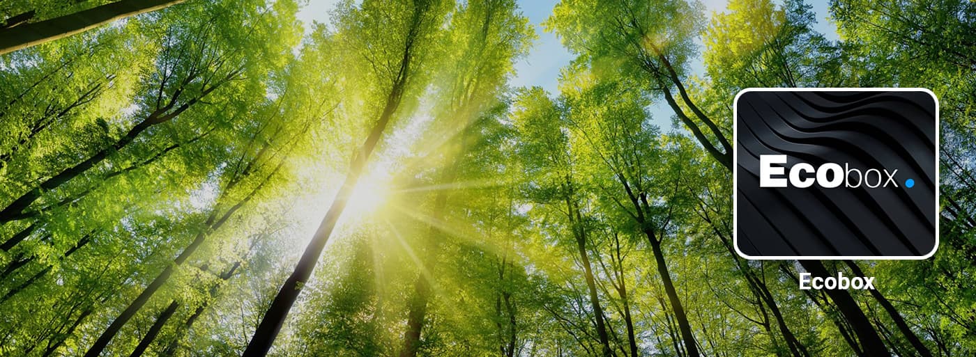Ecobox-Anwendung Sonniger grüner Wald