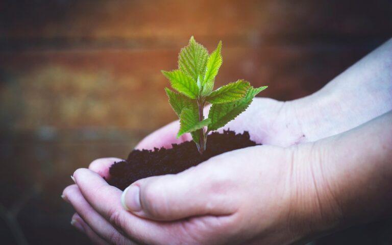 Xerox veröffentlicht CSR-Bericht 2025 – Fortschritt für eine nachhaltige Zukunft